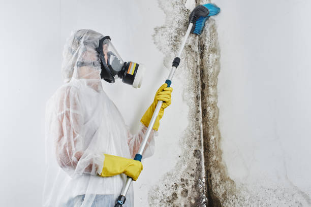 Best Water Damage Restoration  in Muskogee, OK