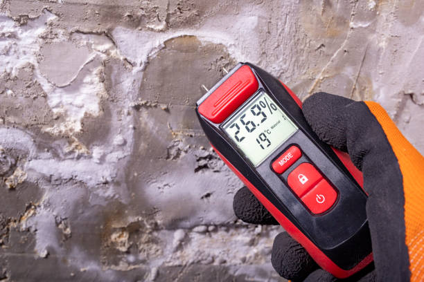 Best Same-Day Mold Removal  in Muskogee, OK