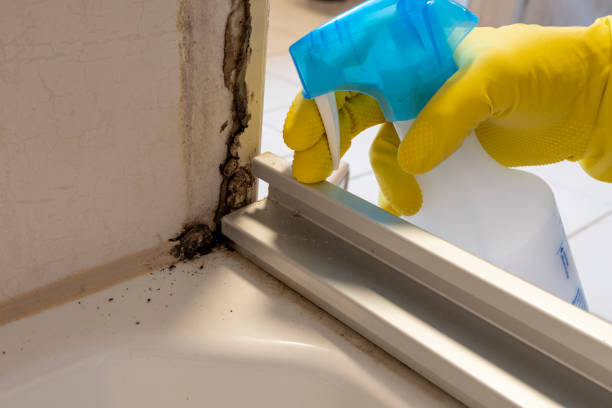 Best Mold Testing  in Muskogee, OK