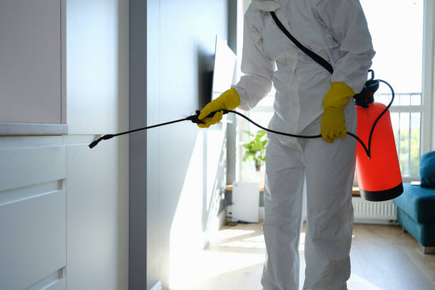 Best Mold Remediation  in Muskogee, OK