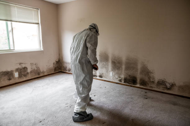 Muskogee, OK Mold Removal Company