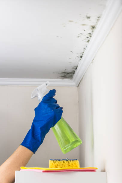 Best Mold Removal Near Me  in Muskogee, OK