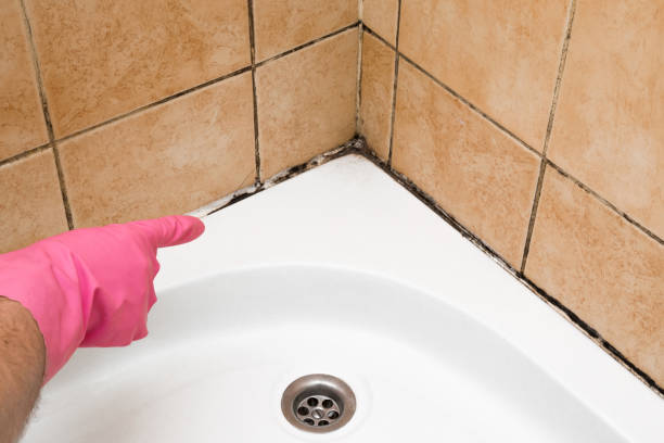 Best Affordable Mold Removal  in Muskogee, OK